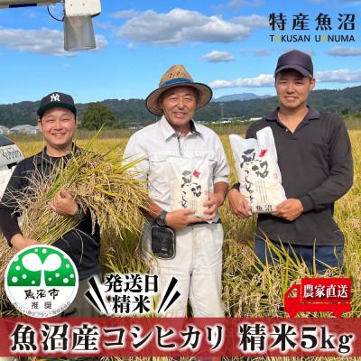 ふるさと納税 魚沼市 【令和7年産】農家直送 魚沼産コシヒカリ　精米5Kg 【特産魚沼】
