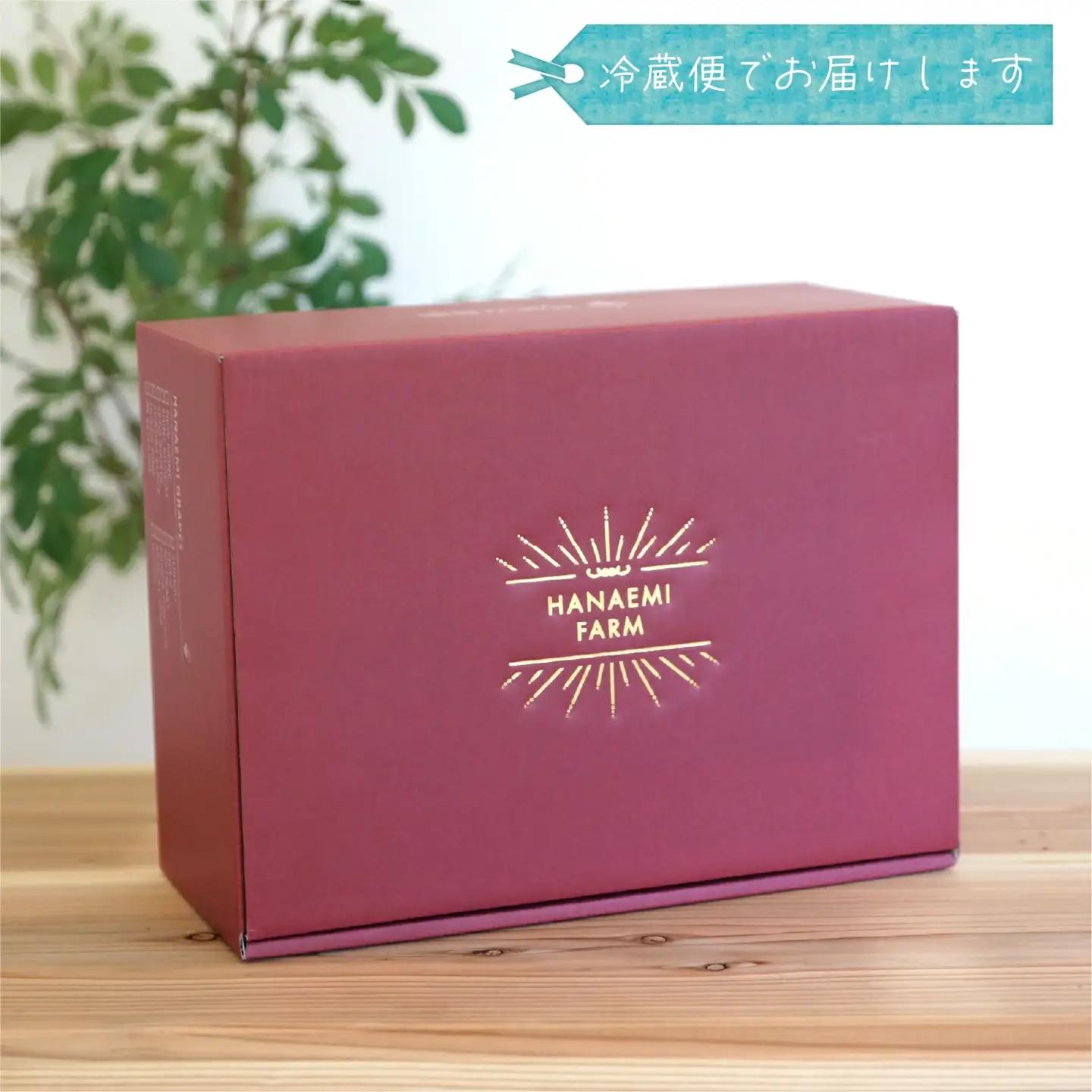 【2026年先行予約】ぶどう 岡山 花笑み農園の『BKシードレス』贈答用2kg（3～4房） 岡山 真庭 フルーツ 【hana038-02】