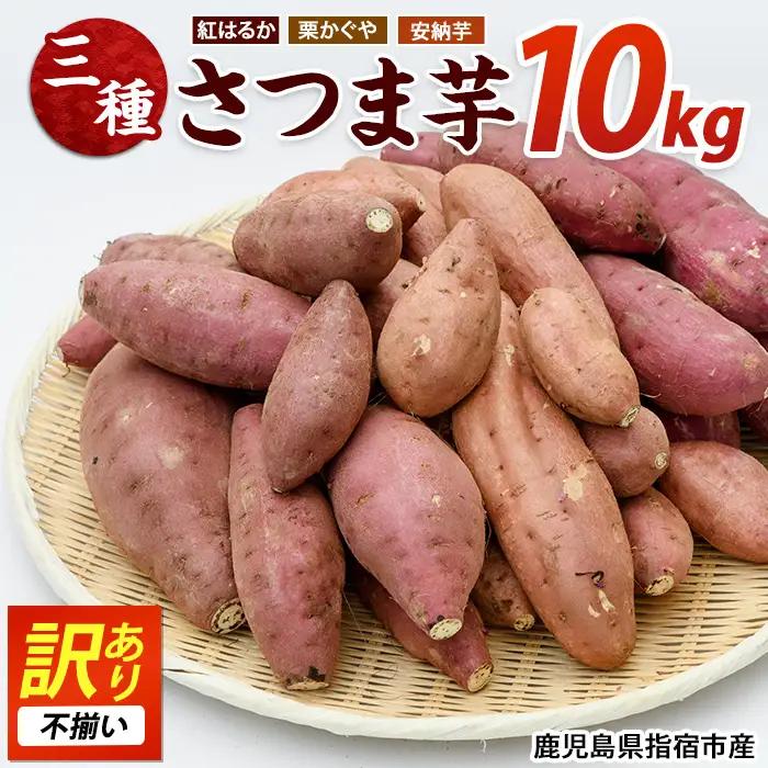 さつまいも 訳あり 3種 約10kg 紅はるか 栗かぐや 安納芋 サツマイモ IB084-001