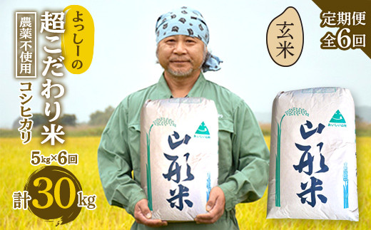 
【定期便全6回】令和6年産よっしーの超こだわり米（農薬不使用) コシヒカリ（玄米）5kg×6 米 お米 おこめ 山形県 新庄市 F3S-1631
