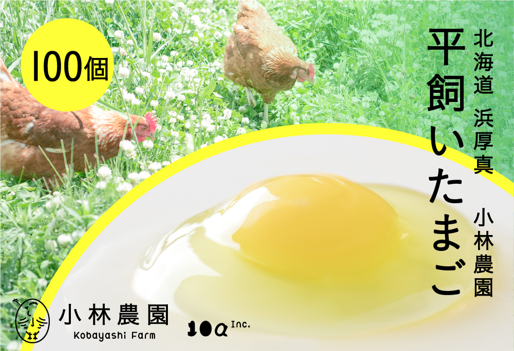 平飼い有精卵 100個【常温便】【テンアール株式会社】 たまご 卵 鶏卵 玉子 生卵 平飼い 北海道 定期便 [AXAN122]