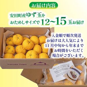 【ふるなびWEEK対象】 【先行受付】ゆず 万能 ゆず玉 高知県 安田町 |  TR-26