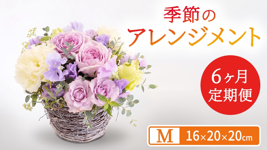 
                  【 6ヶ月 定期便 】季節 の フラワーアレンジメント ＜ M ＞ 花 お花 季節の花 生花 記念日 誕生日 自宅用 インテリア 部屋飾り 装飾 贈答 ギフトプレゼント おしゃれ 茨城県 城里町 (BY008)
                