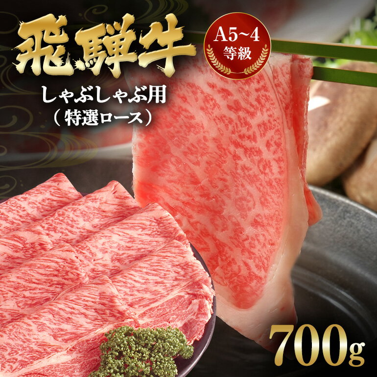 【ふるさと納税】 飛騨牛A5~4等級 しゃぶしゃぶ用(特選ロース)700g C-5/A-10