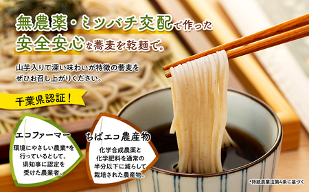 B01-003 ながいきそば乾麺（細麺）200g×11袋
