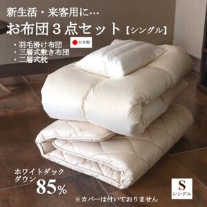 【新生活・来客用に…】お布団3点セット シングル(羽毛掛け布団・敷き布団・枕)【1178551】