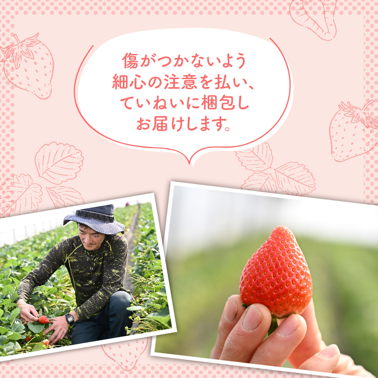 《数量限定》いちご厳選！さくら市産 とちあいか・スカイベリー食べ比べセット（290g×4パック） ｜ 先行予約 栃木県 果物 フルーツ 苺 イチゴ ※2025年1月中旬～3月下旬頃に順次発送予定_イメ