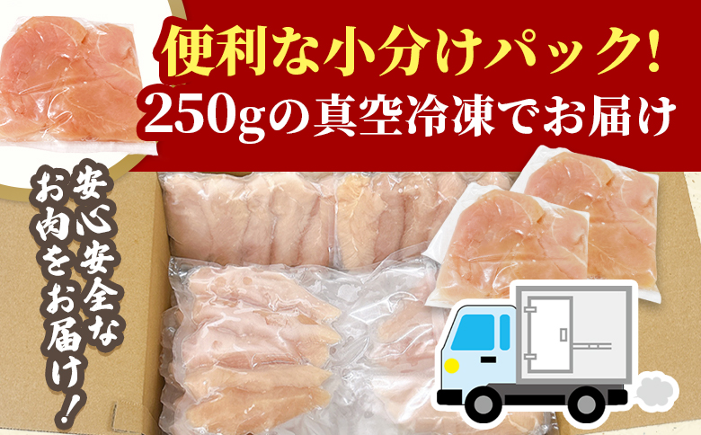 ＜宮崎県産若鶏筋なしささみ 約2.5kg＞ 国産 鶏 肉 精肉 ささみ ささみ肉 筋なし 使いやすい パック 真空冷凍 お弁当 惣菜 蒸し鶏 数量限定 鶏ささみ 鶏ササミ ササミ 鳥ささみ 鳥ササミ【