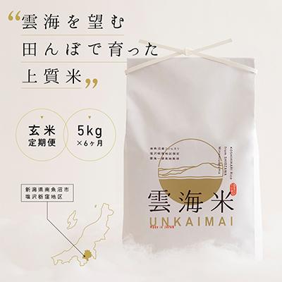 ふるさと納税 南魚沼市 【毎月定期便】南魚沼産コシヒカリ「雲海米」玄米5kg全6回