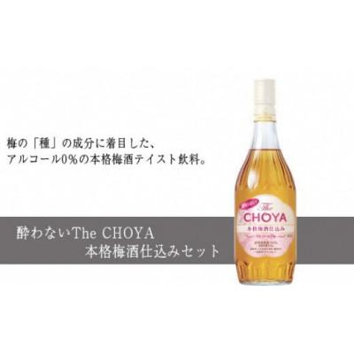 ふるさと納税 羽曳野市 酔わないThe CHOYA 本格梅酒仕込みセット(チョーヤ梅酒)C014