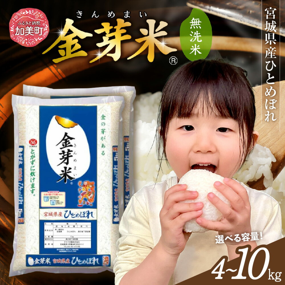 【ふるさと納税】 無洗米 令和6年産 米 ひとめぼれ 4kg 5kg 10kg 宮城県 産 ひとめぼれ 令和6年 [ 宮城県 加美町 km00017-r6 ] お米 小分け こめ コメ 精米 白米 玄米 きんめまい おすすめ ナカリ 時短 便利 タカラ米穀 パワーライス カメイ 美味しい こだわり