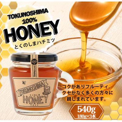 ふるさと納税 天城町 徳之島 天城町 100% HONEY ハチミツ 540g 180g×3本 はちみつ 蜂蜜 国産