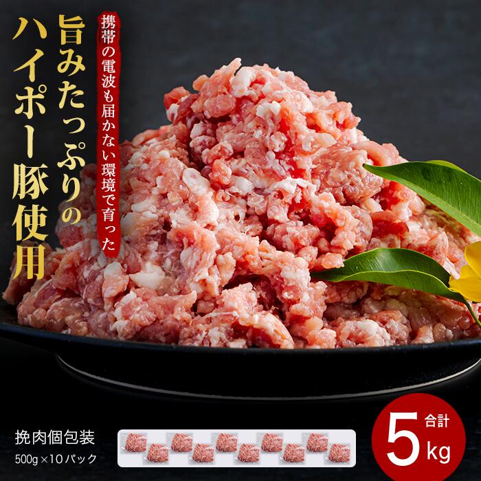 【ふるさと納税】豚肉 阿武町産 豚挽肉 500g×10パック 小分けセット | 携帯の電波も届かない環境で育った旨みたっぷりのハイポー豚 ひき肉 挽肉 豚 肉 お肉 ※配送不可:離島