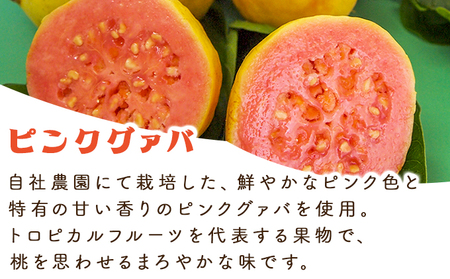 KU106 とろーり果実感！グァバ・マンゴードリンク２本セット(720ml×2本) 【宮崎果汁】