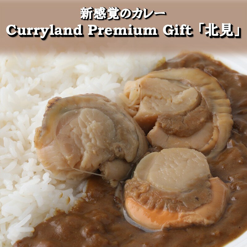 【ふるさと納税】＼11/10まで！／北見産の極上素材を贅沢に使った新感覚のカレーCurryland Premium Gift「北見」