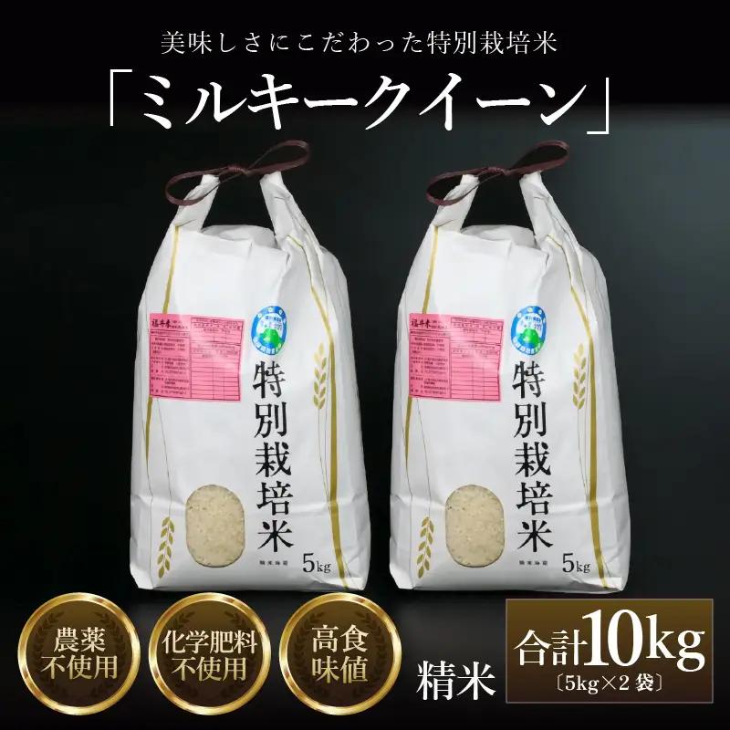 【先行予約】【令和8年産 新米】 ミルキークイーン 精米 5kg×2袋 （計10kg） 特別栽培米 農薬不使用 化学肥料不使用 ／ 高品質 鮮度抜群 福井県産 ブランド米 ※2026年10月上旬以降順次発送 [aw063-c003]