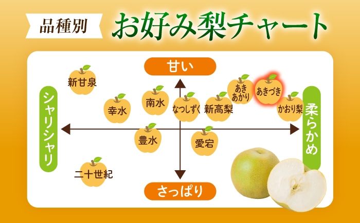 梨 なし フルーツ 果物 くだもの 食品 人気 おすすめ 季節のフルーツ あきづき ナシ 新高 豊水 幸水 掛け合わせ 濃縮