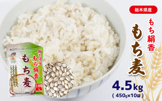 
【ふるさと納税】もち麦 栃木県産もち絹香　もち麦　4.5kg（450g×10袋）真岡市 栃木県
