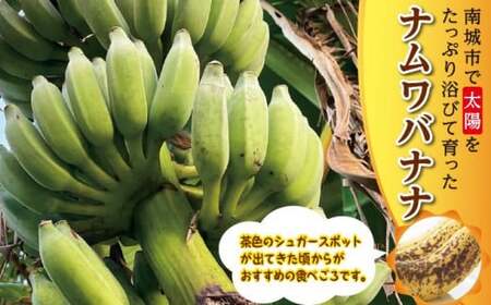 バナナ 南城市 ナムワバナナ3kg