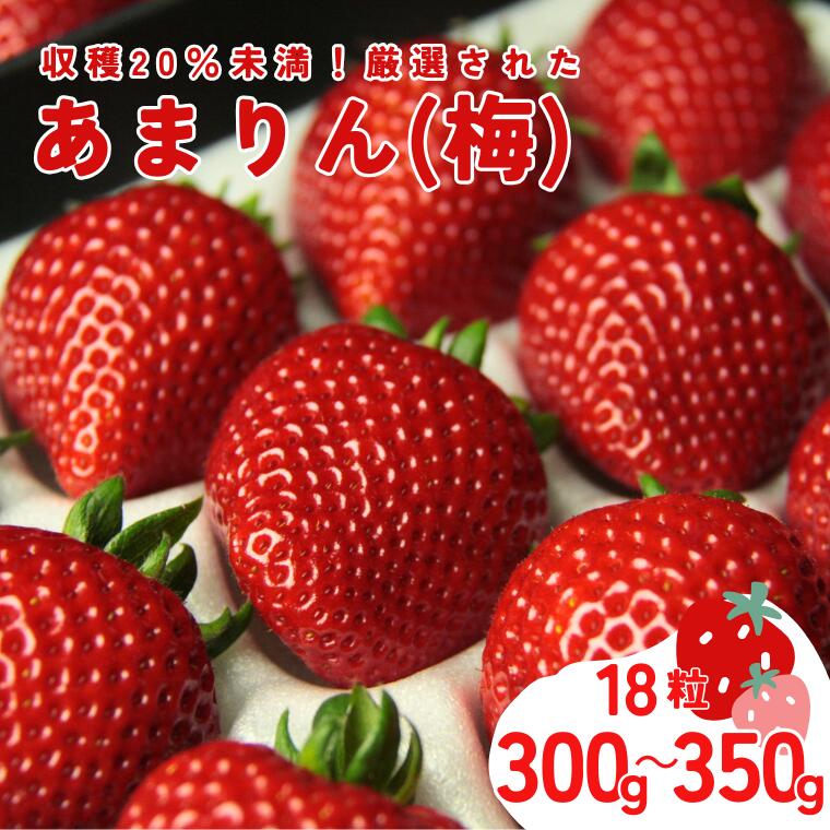 【ふるさと納税】発送1月～【先行受付】あまりん（梅）300～350g【苺】 イチゴ おおきい スイーツ あかい 果物 ふるさと納税 いちご うまい フルーツ 期間限定 人気いちご まるい 甘い いちご 旬 直送 おすすめいちご ストロベリー 苺ジャム いちご 好きのための いちご