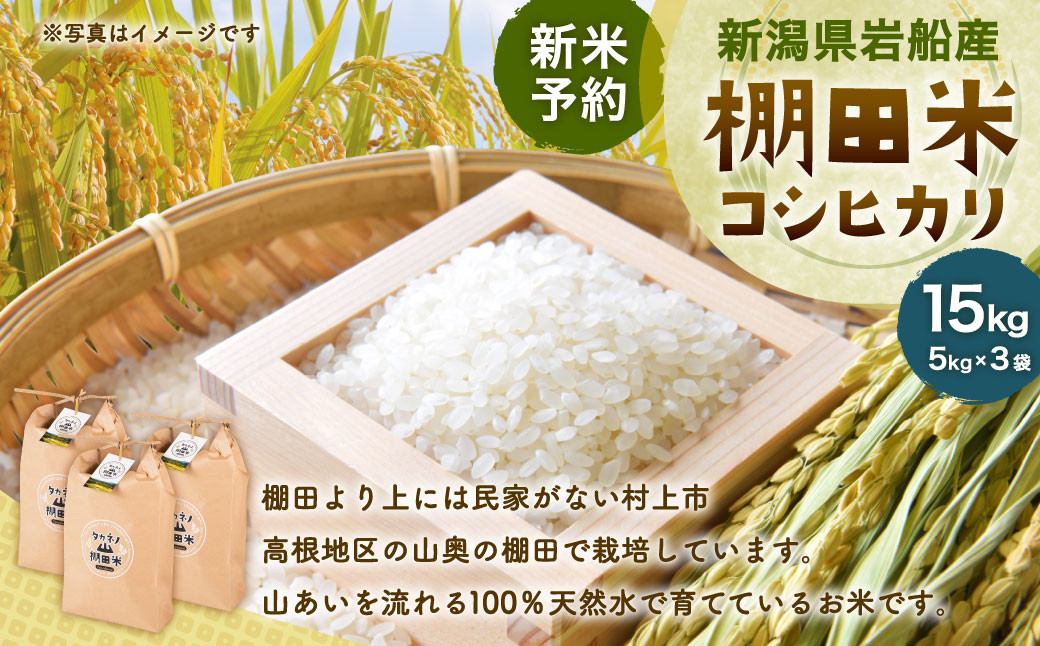 
                  【新米受付・令和8年産米】新潟県村上市岩船産 棚田米コシヒカリ15kg（5kg×3袋）NC4017 
                