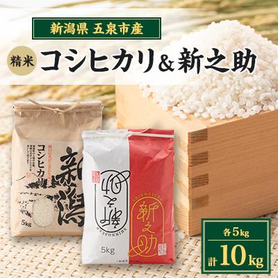 ふるさと納税 五泉市 【新米先行受付】R7年産新潟県五泉市産　食べ比べセット　コシヒカリ5kg　新之助5kg　計10kg