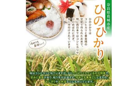 【先行予約】令和7年産 ひのひかり 10kg（5kg×2） 米農家直送 ／ 石田さん家 こだわりの米 ふるさと納税 お米 精米【ishi003】