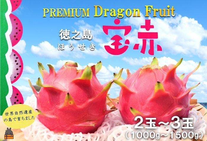 ～ルビーの輝き～プレミアムドラゴンフルーツ“徳之島宝赤（ほうせき）”（1kg～1.5kg） （ ドラゴンフルーツ 果物 フルーツ 南国 ピタヤ 太陽 美容 健康 徳之島 奄美 鹿児島 世界自然遺産 こだわり ）
