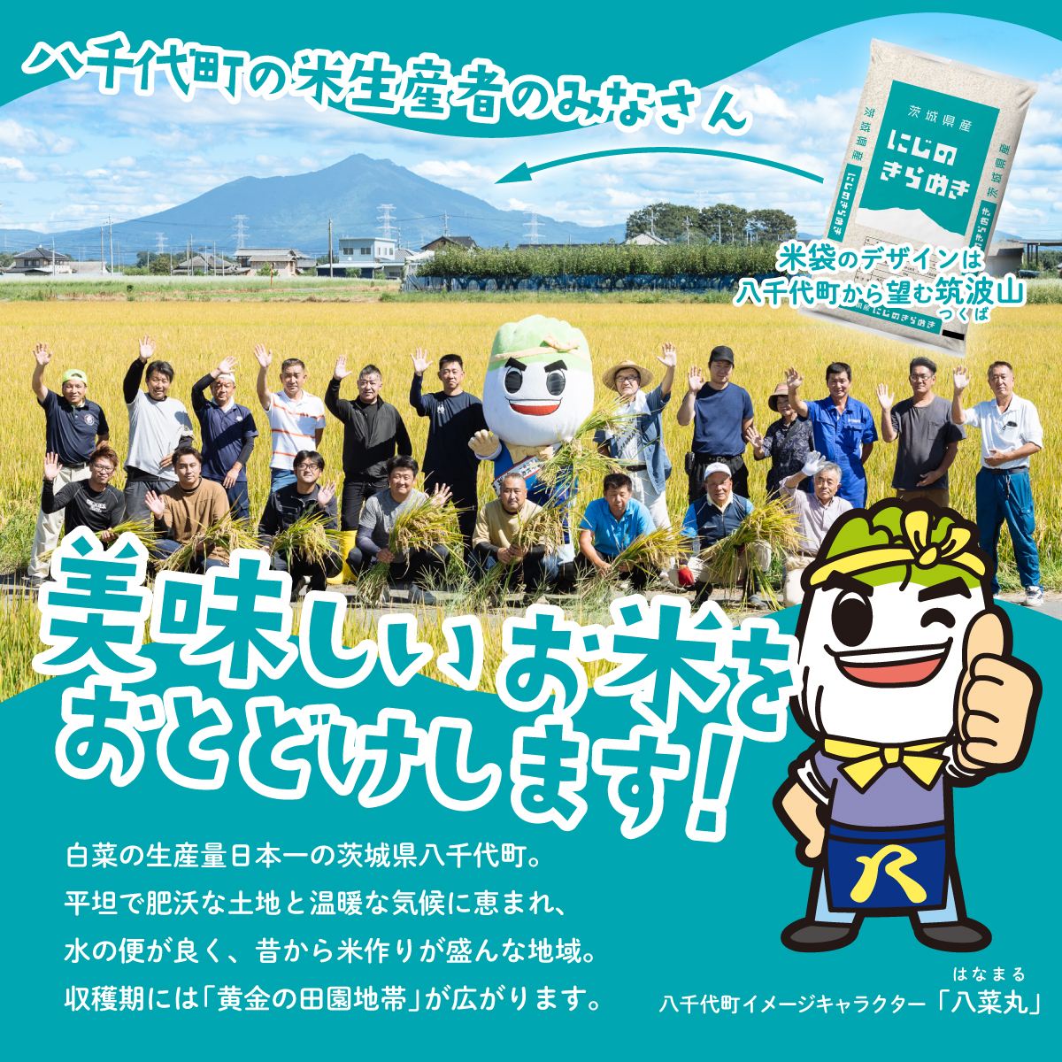 【スピード発送】にじのきらめき 5kg (5kgx1袋) 令和7年産 茨城県産 にじのきらめき 白米 精米 茨城県 八千代町 お米 米 [SF573yai]