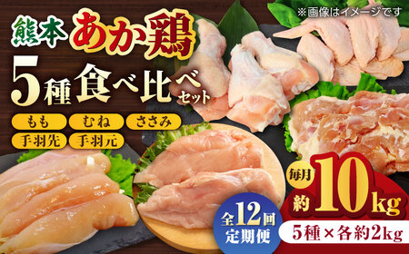 【12回定期便】熊本あか鶏  5種食べ比べセット（モモ ささみ ムネ 手羽先 手羽元）各2kg【やまうちフード株式会社 熊本営業所】 熊本県 特産品  九州産  [ZAB014]