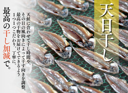 ひもの直送便セット【 干物 】
