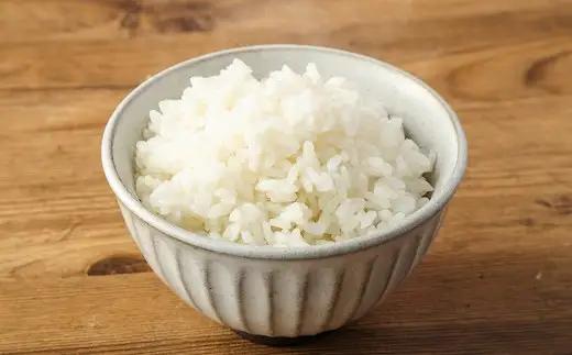 令和7年産 いわてっこ 精米 10kg（5kg×2袋） ／ お米 米 白米 ご飯 飯 こめ コメ 産地直送 産地 直送 国産 岩手県産