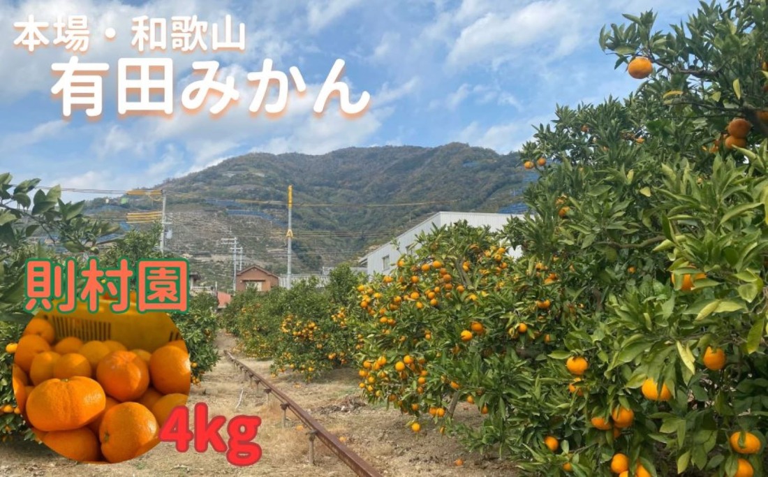 則村園産 有田みかん 4kg 温州みかん みかん 蜜柑 甘い 甘いみかん 有田 有田川町 和歌山 EX02