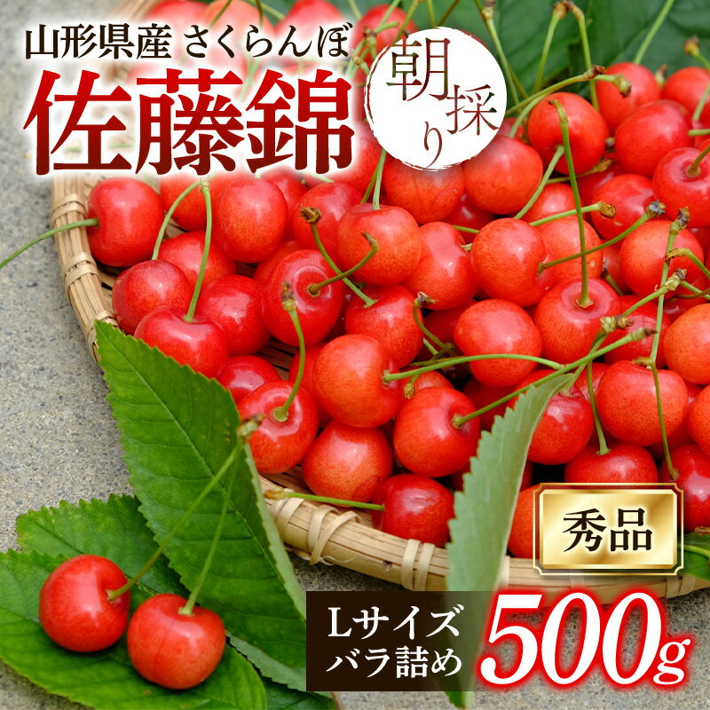 【ふるさと納税】【先行予約2026年度発送】朝採り さくらんぼ 佐藤錦 500g（秀品 Lサイズ） FSY-0650