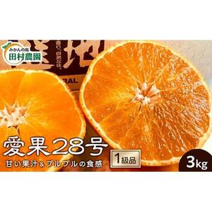 【先行予約12月上旬から発送】【1級品】愛果28号 3kg | みかん 柑橘 愛果 紅まどんな と同品種 みかん あいか 果物 フルーツ 松山市 愛媛県 田村農園 【TMN0161】
