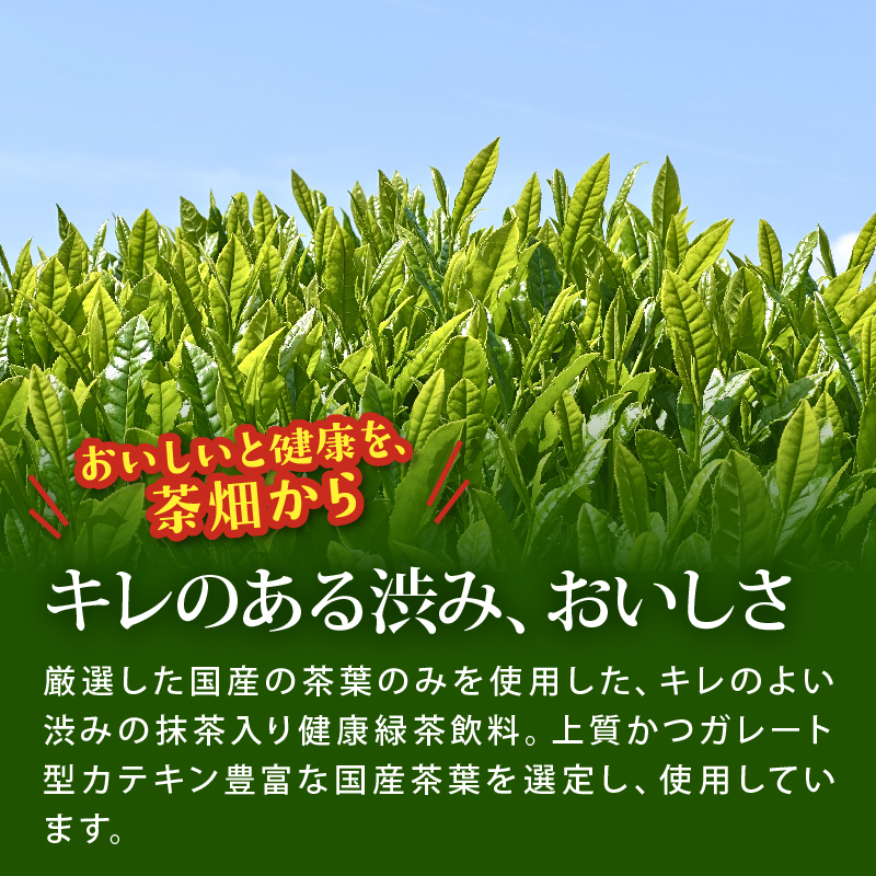 おーいお茶 濃い茶 1L × 12本 防災備蓄 茶 ペットボトル 飲料 緑茶 お届け 機能性表示食品 お茶 茶 おちゃ ペットボトル飲料 ドリンク 飲み物 飲みもの 日用品 生活必需品 消耗品 飲料類