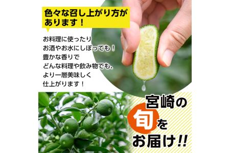 期間限定！門川町産へべす(1kg)柑橘 果汁 国産 特産品 宮崎県 門川町【AM-1】【川崎農園】