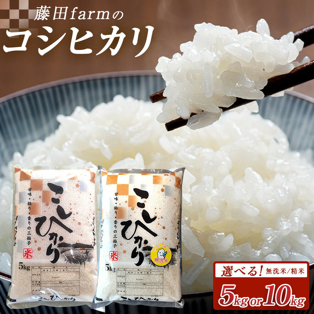 【ふるさと納税】【選べる容量＆種類】令和7年産 大田原市 藤田farmのコシヒカリ 5kg 又は10kg　精米又は無洗米｜栃木県産 米 お米 コメ こしひかり コシヒカリ 栃木県 数量限定