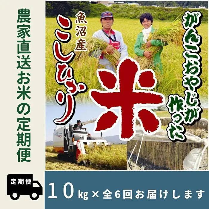【令和8年新米】6か月定期便　がんこおやじが作った南魚沼産コシヒカリ白米10kg（5kg×2袋） | 白米【2026年10月上旬より順次発送】