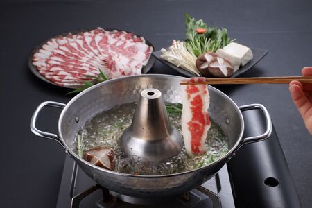 【6か月定期便】熊本産 馬肉の しゃぶしゃぶ 約500g