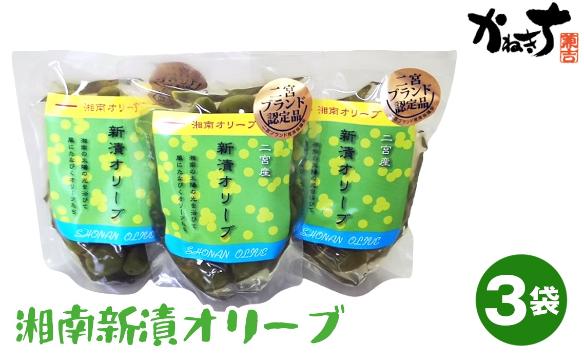 
                  湘南新漬オリーブ ／ かねきち しんづけ 浅漬け あさづけ 旬 旬の食材 季節限定 若い果実 新物 オリーブ オリーブ漬け おつまみ 前菜 ワインに合う お酒のお供 サラダ 天ぷら 神奈川県 特産品 No.100
                
