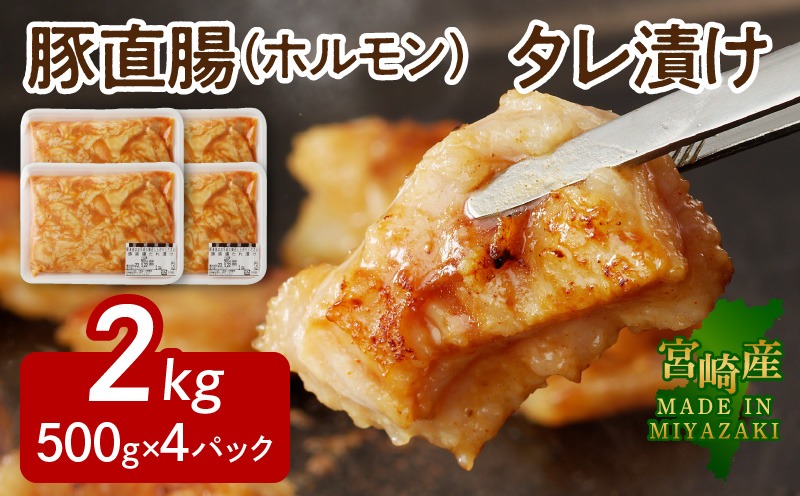 【宮崎産】豚直腸(ホルモン)タレ漬け 2kg (500g×4) N061-YB441