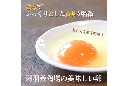 野菜 定期便 卵付き 旬の野菜セット 4人用 【3回】 益子町 AA006