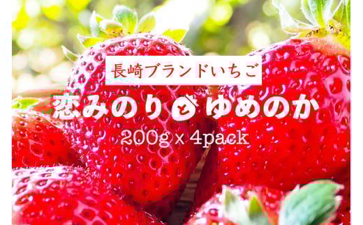 AE133【期間限定】野菜ソムリエselection 特選いちご｢恋みのり｣｢ゆめのか｣（2Lサイズ・各2パック）