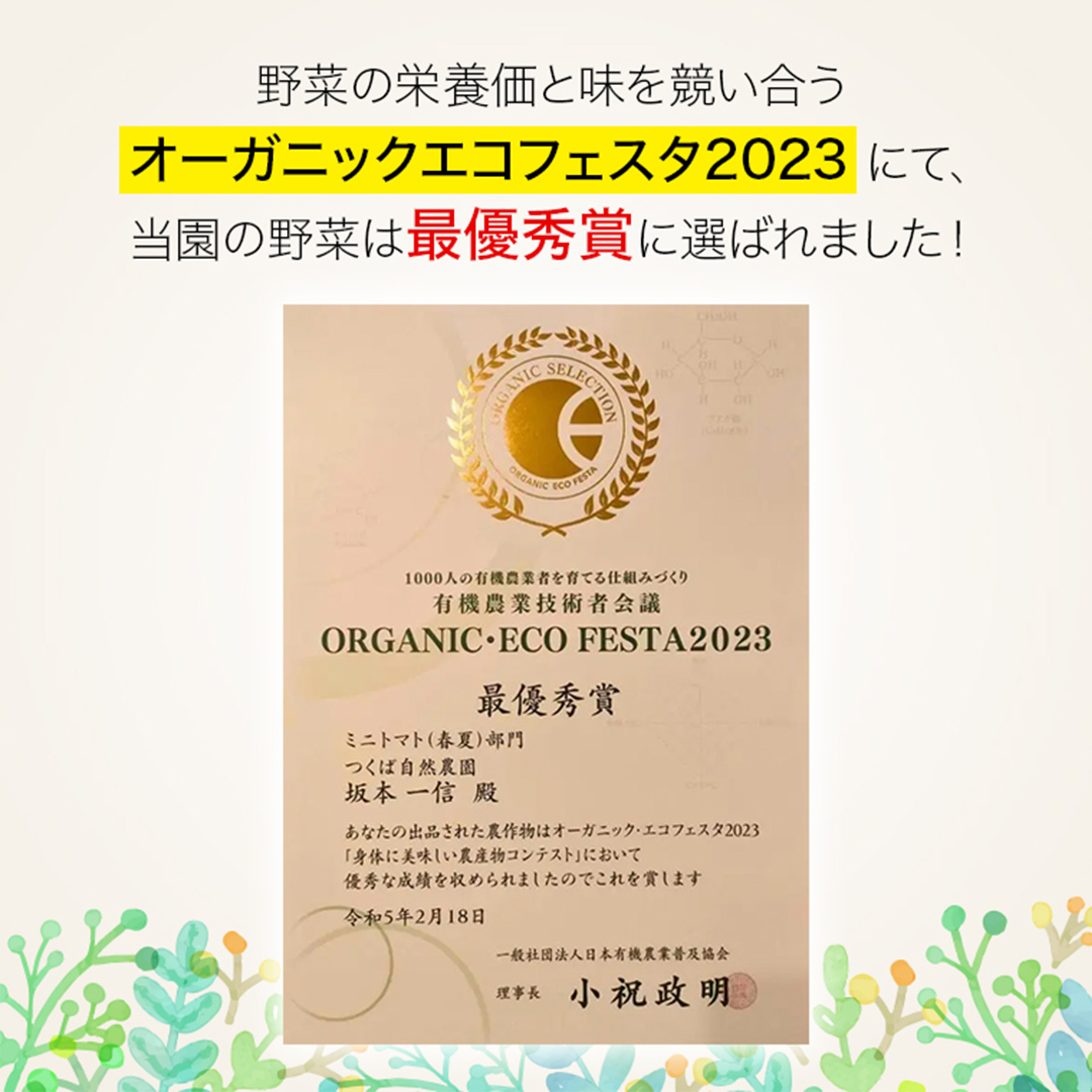 今夏お届け！ 農薬 ・ 肥料 不使用 ミニトマト の 詰め合わ