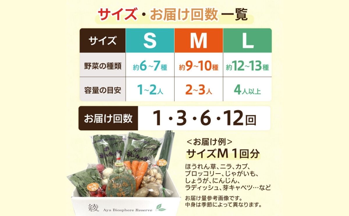 綾町旬野菜ギフト（Sサイズ） 1回