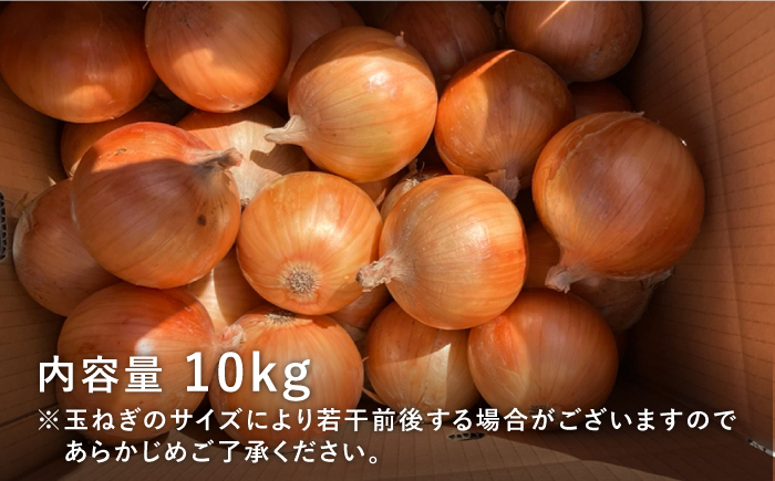 【先行予約】【農家直送！】こだわり 白石玉ねぎ 10kg【れんこんの家やました】 [IAW009]
