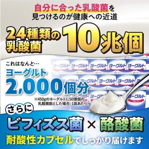 乳酸菌サプリメント ナノ型乳酸菌10兆個＆ビフィズス菌配合 菌活すっきり 6袋(6ヶ月分)【1495264】