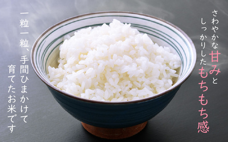 【令和7年産】農薬不使用 特別栽培米コシヒカリ5kg【精米】 福井県認証区分1取得「田んぼの天使」越前町【農薬化学肥料不使用】 [e10-b008]