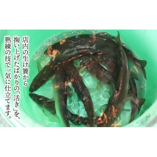 【期間限定】【岐阜県産】 活あゆ会席 お食事券（４名様分）｜岐阜 鮎 食事券 お造り 刺身 塩焼き 雑炊 フルコース 夏 隠れ家 グルメ 生け簀 ギフト プレゼント いのしし亭 桐山荘